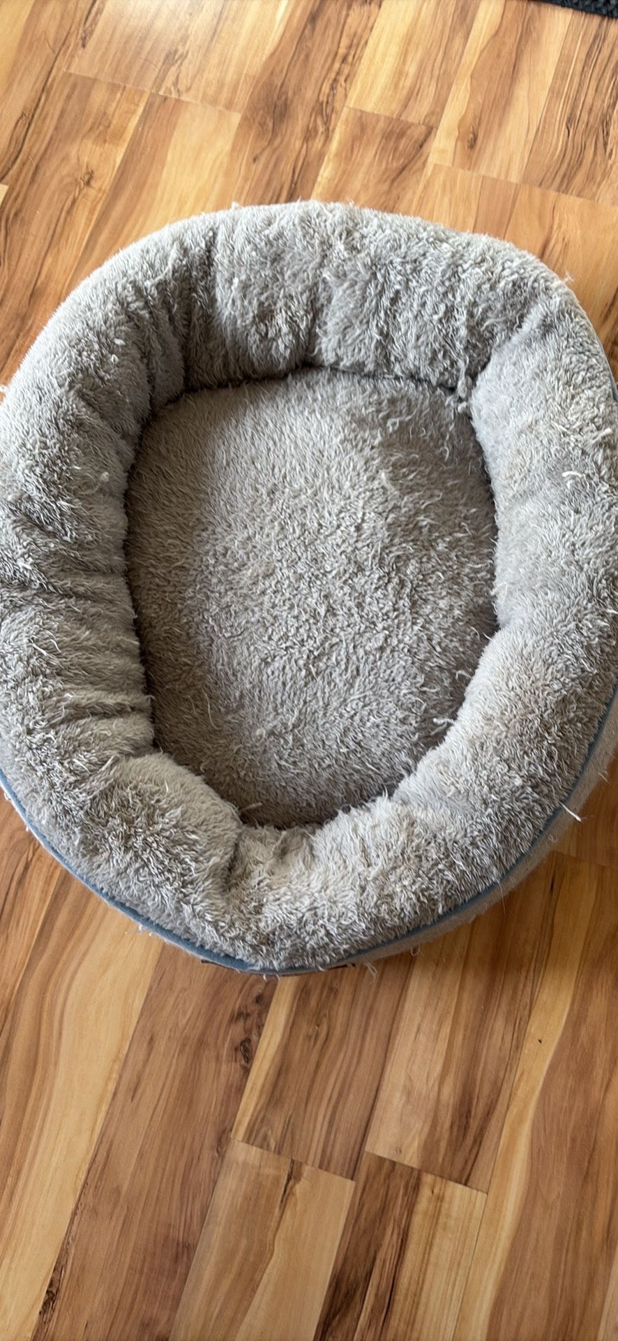 Vibrant life dog bed or cat bed