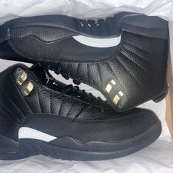 Jordan 12 Retro (brand New)