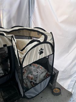 Kitten cage