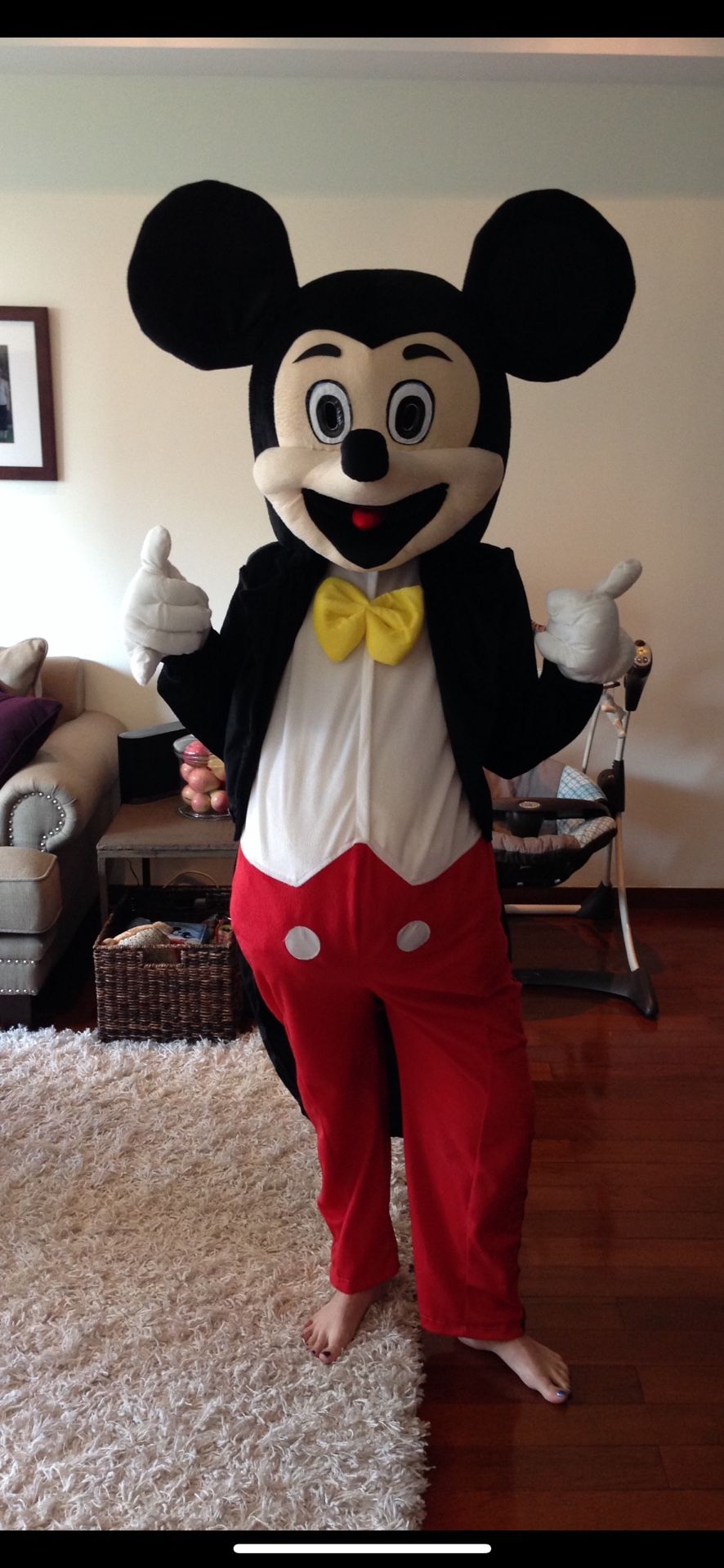 Mickey Mouse Halloween Costume