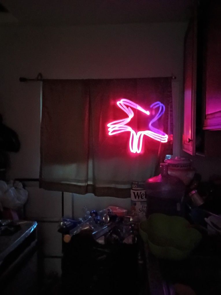 DJ Laser Scorpion 🦂. 2 Color Blue Red Different Designs. Superbride $70. 💯% Good Condition