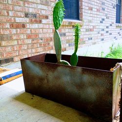 Steel Planter with cactus