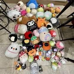 Miscellaneous Squishmallows