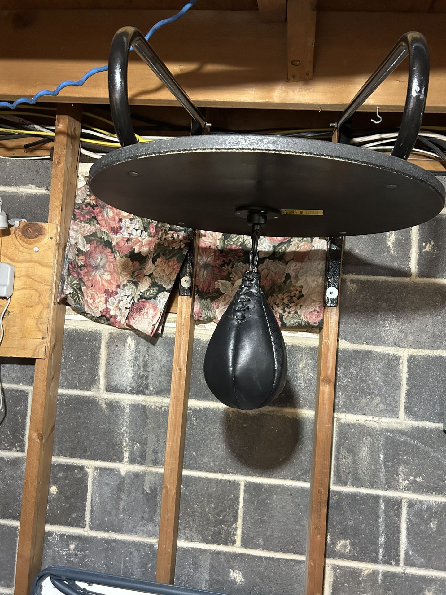 Speed Punching Bag
