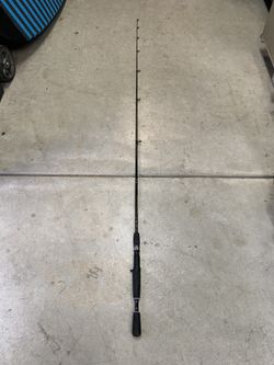 Bait Casting pole