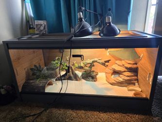 Reptile tank "48" everything