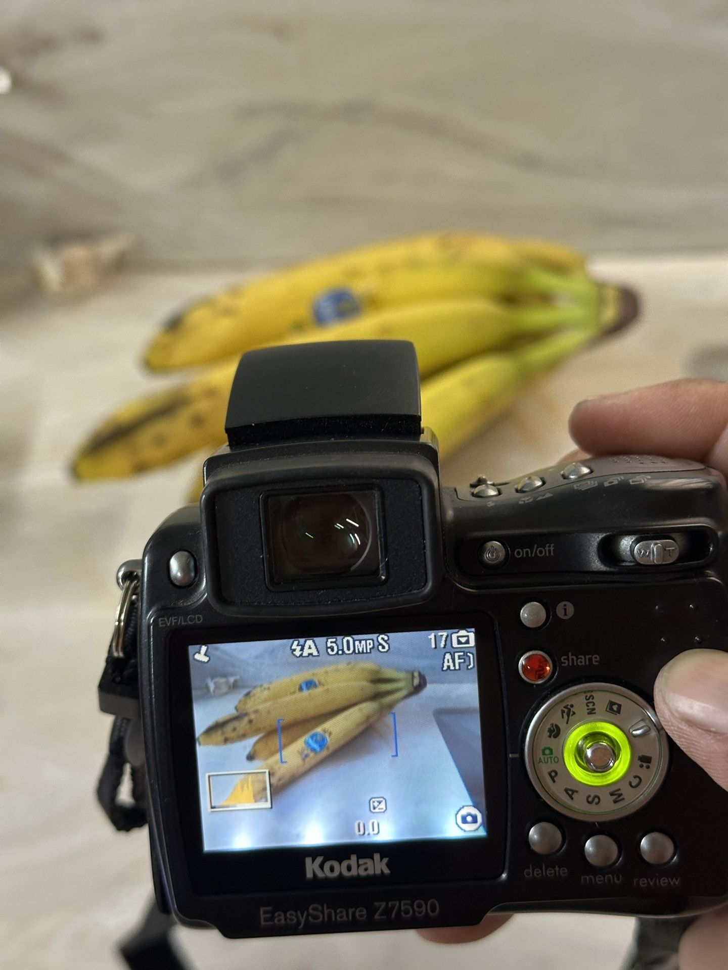 Kodak EasyShare Z7590 5.0MP 10x Zoom Digital Camera W Charger/Battery TESTED