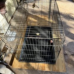 Large Dog Crate In Good Condition
