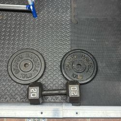 Dumbbell 20 Pound 