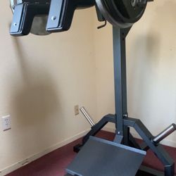 Titan Fitness V-Squat + Olympic Weights + Dumbbells With Rack+ Neutral Grip Red Barbell+ Pull Up Bar