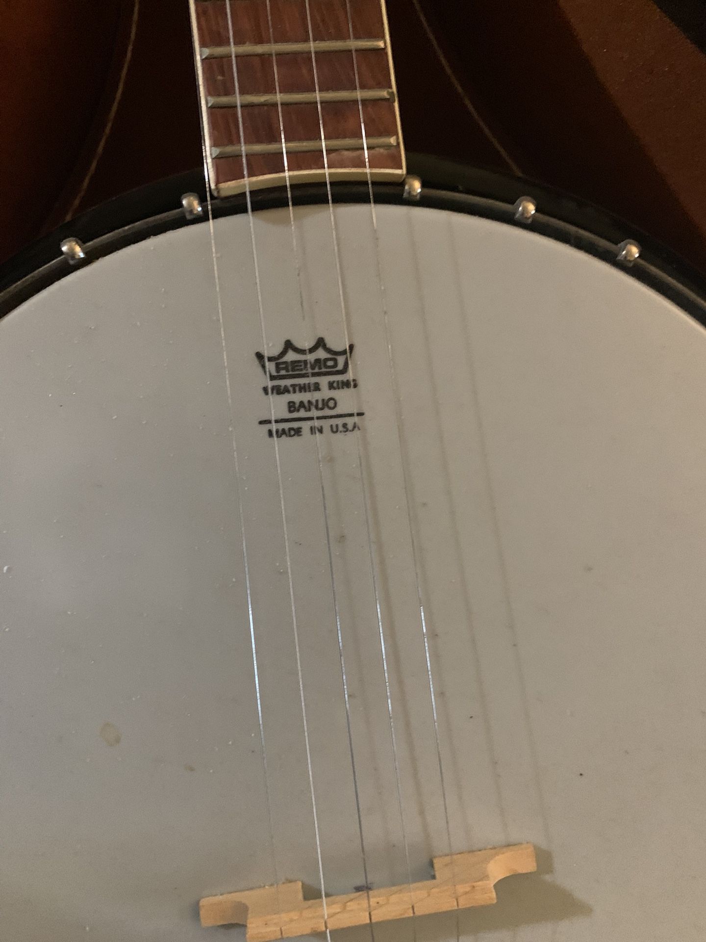 Vintage Banjo