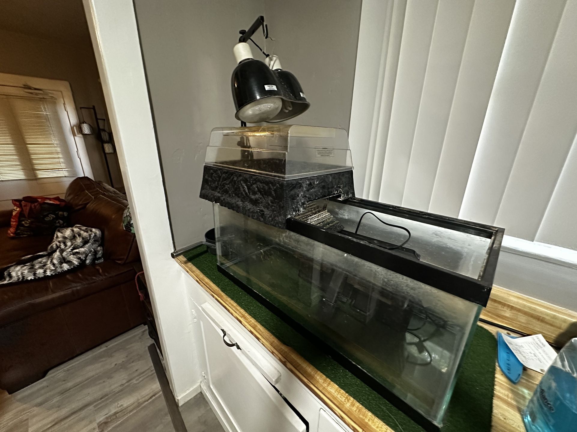 Turtle, Fish, or Reptile Tank - FREE