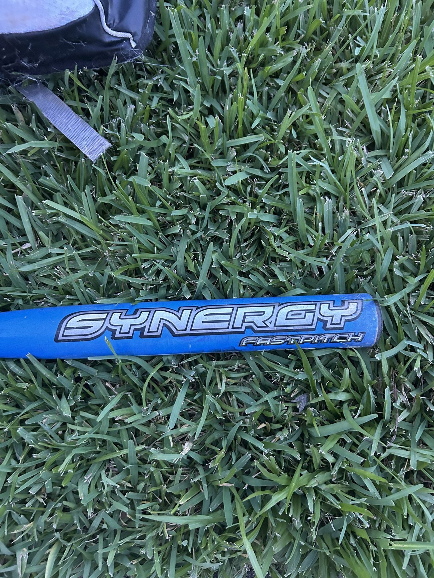 Easton Synergy Bat