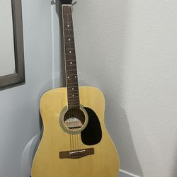 Rogue RD80 Guitar