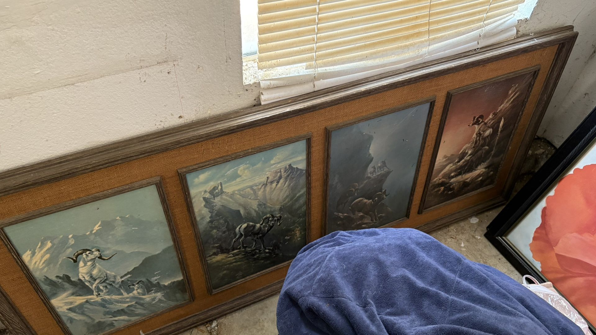 Big Horn Sheep Wall Art