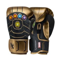 Hayabusa Boxing Gloves 