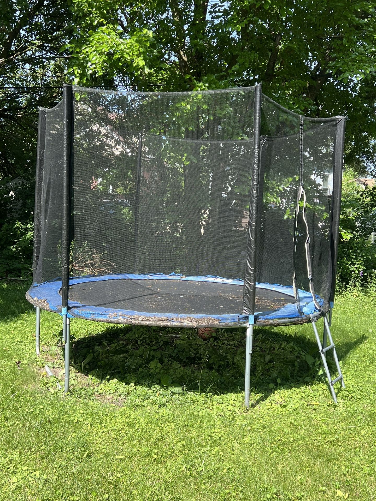 Trampoline
