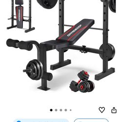 Squat/bench Press Rack. 