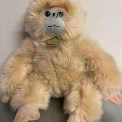Aurora Monkey Plush 