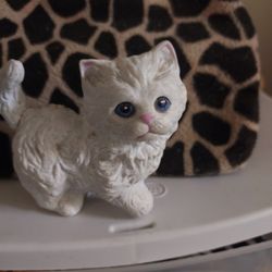 White Kitten