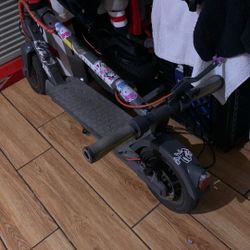 SHELL Ride Foldable Electric Scooter