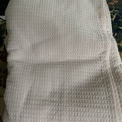 Light Pink Shower Curtain