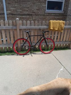 Red And Black Golden Cycle Fixie Bike
