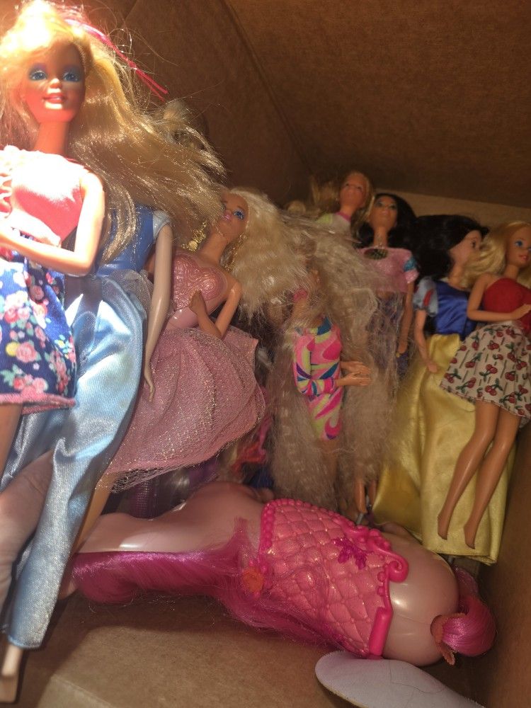 Barbie And Accessories