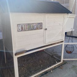 Chicken Coop And Hens 