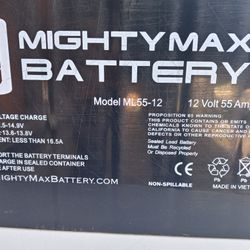 Mighty Max ML55-12, 12-Volt 55 Amp Hour battery.