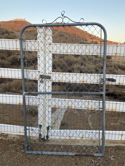 Chain Link Door
