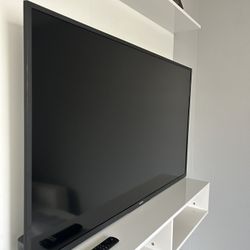 50in Fire TV/Entertainment system 