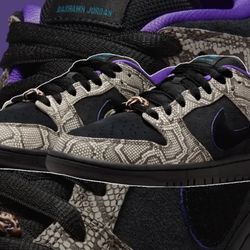 Nike Sb Dunk Low Deshawn Jordan