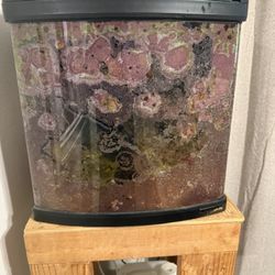 28 Gallon Bio cube Fish Tank