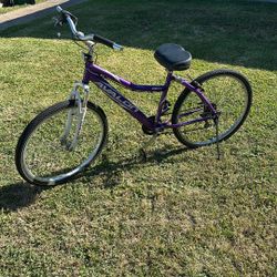 Schwinn Avalon 2008 Bike 