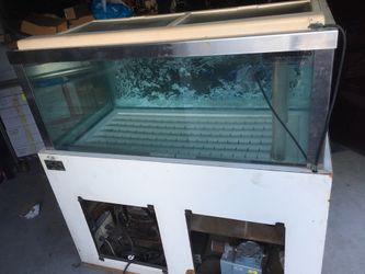Aquarium Fish tanks with temperature control to keep water at the right temperatures