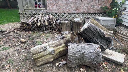 Firewood