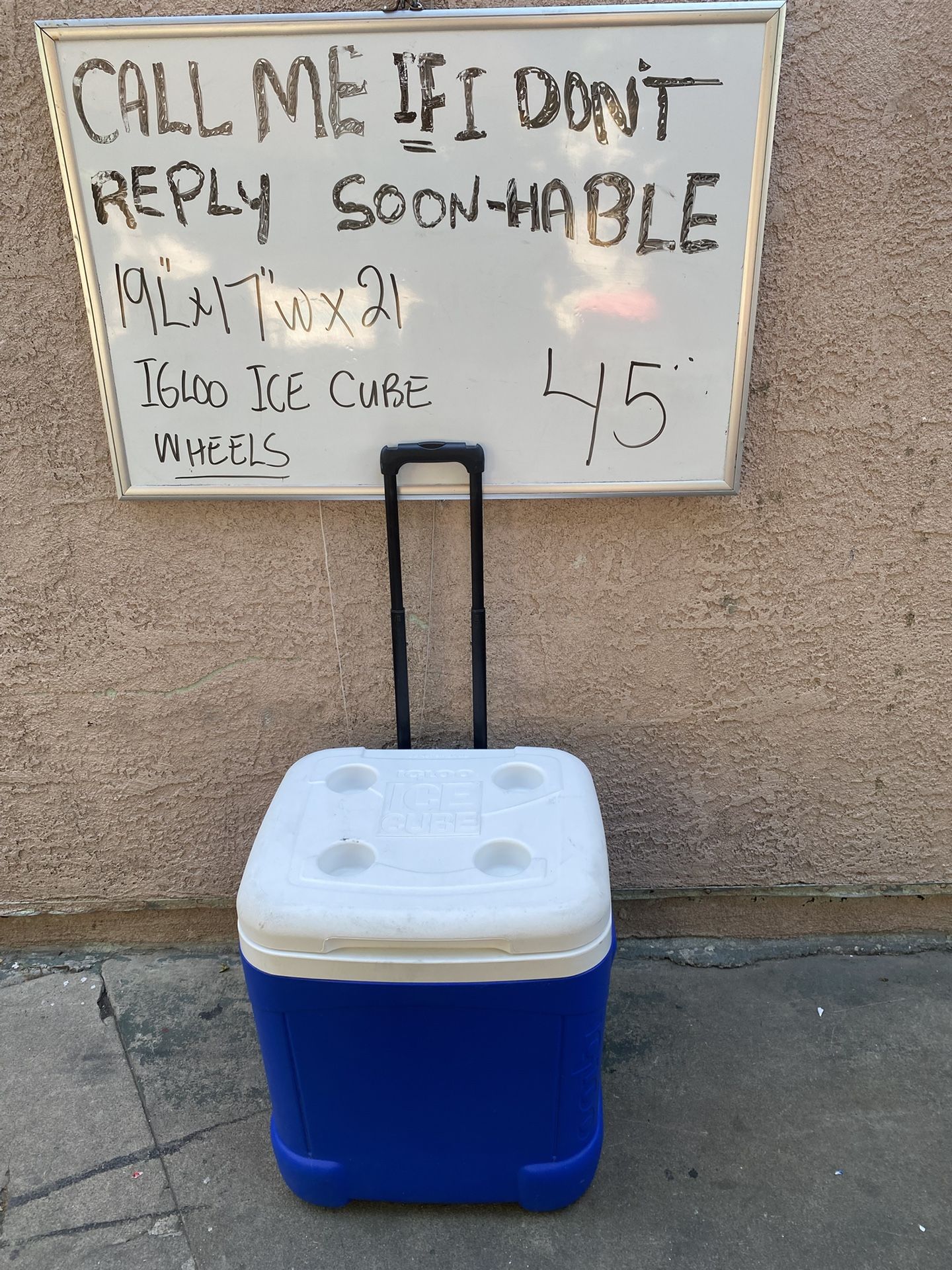 Cooler