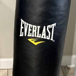 Complete Everlast Boxing Set – $70 OBO