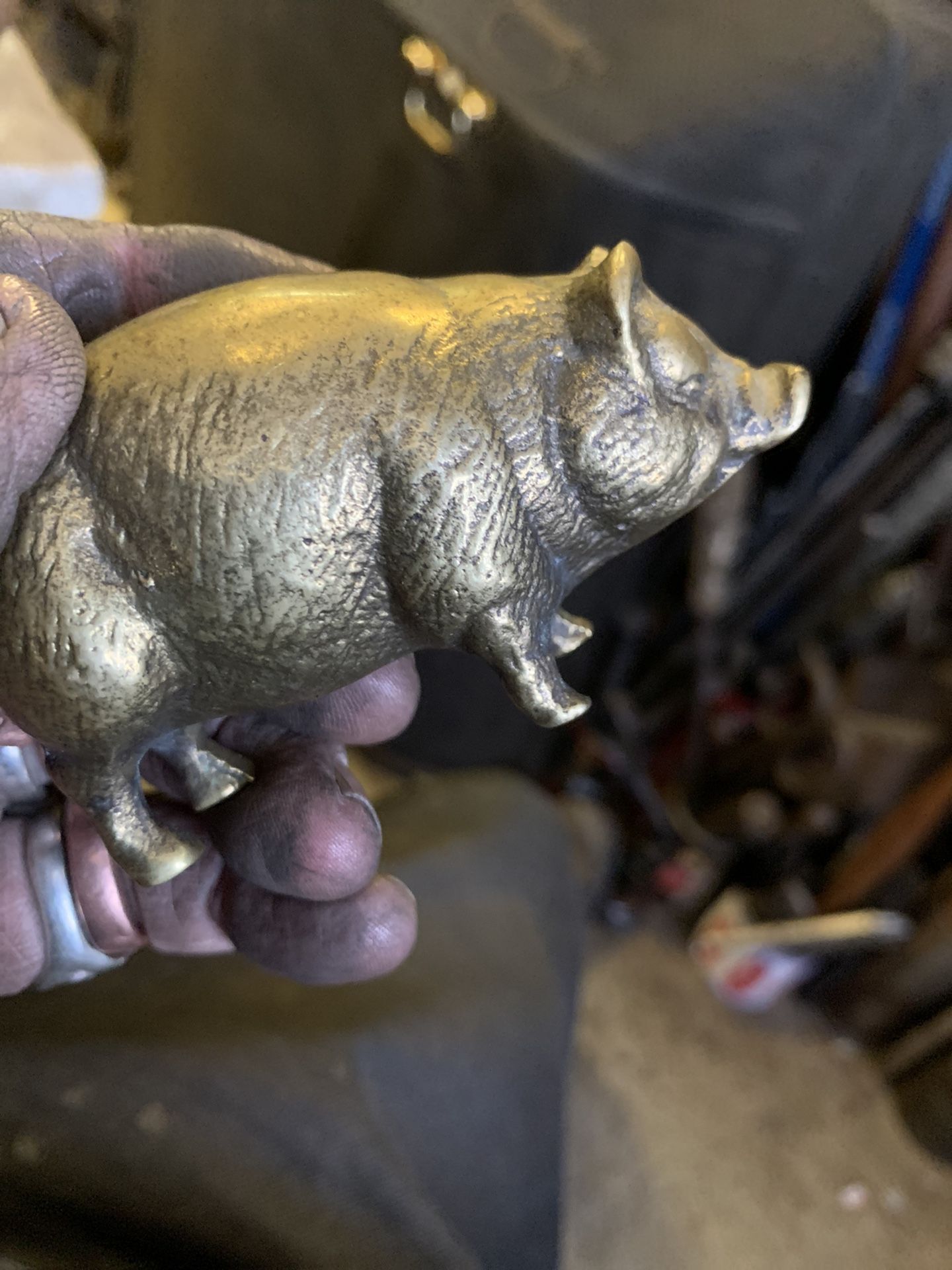 Brass Pig