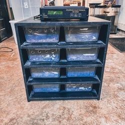 C Serpents Hatchling Rack w/ VE-200 Thermostat