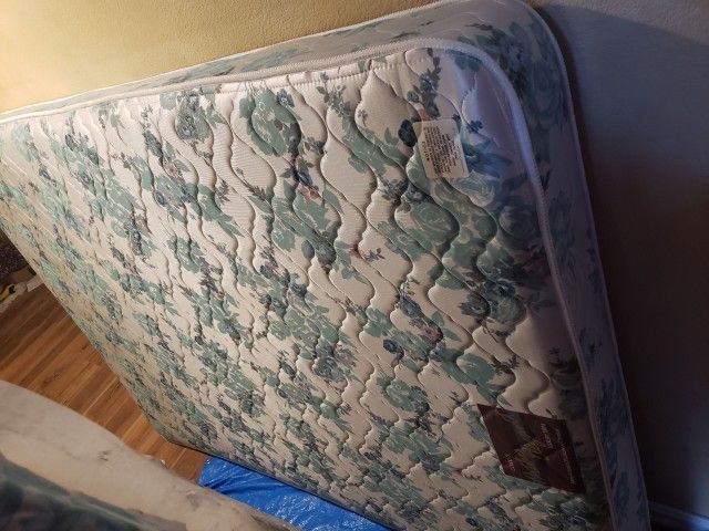 FREE Queen Mattress And Box Springs