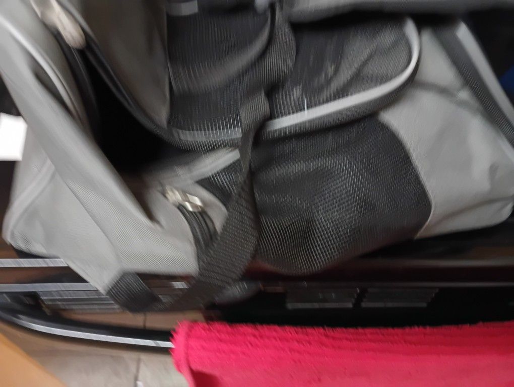 Two And One Backpack and Carrier