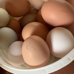 Eggs For Sale