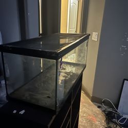 Reptile or fish tank