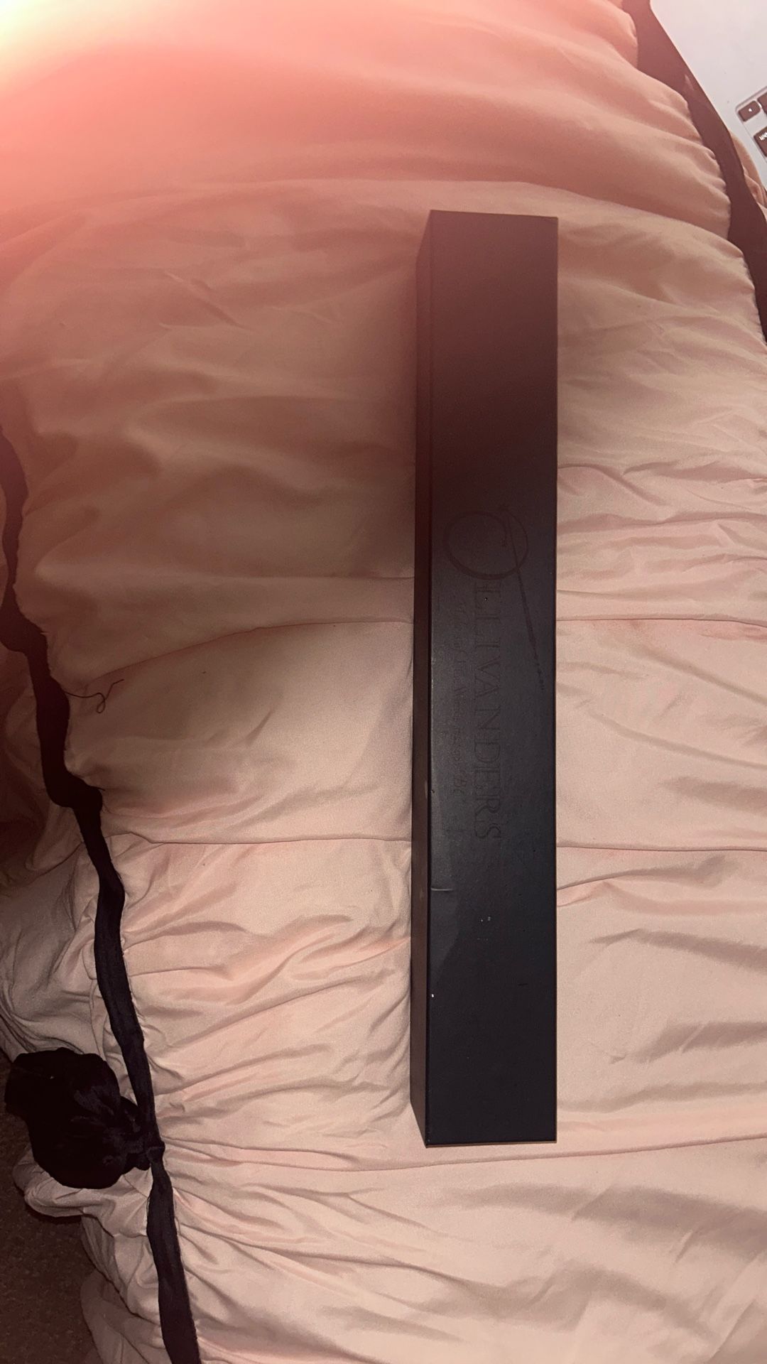 Olivanders Universal Studios Wand