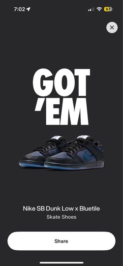 Nike SB dunk low x Bluetile size 11.5