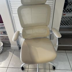 Ergonomic Mesh Office Chair with Headrest & Lumbar Support – New