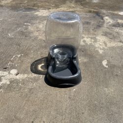 Cat Feeder