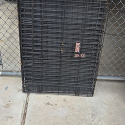 Large Kong Dog Crate